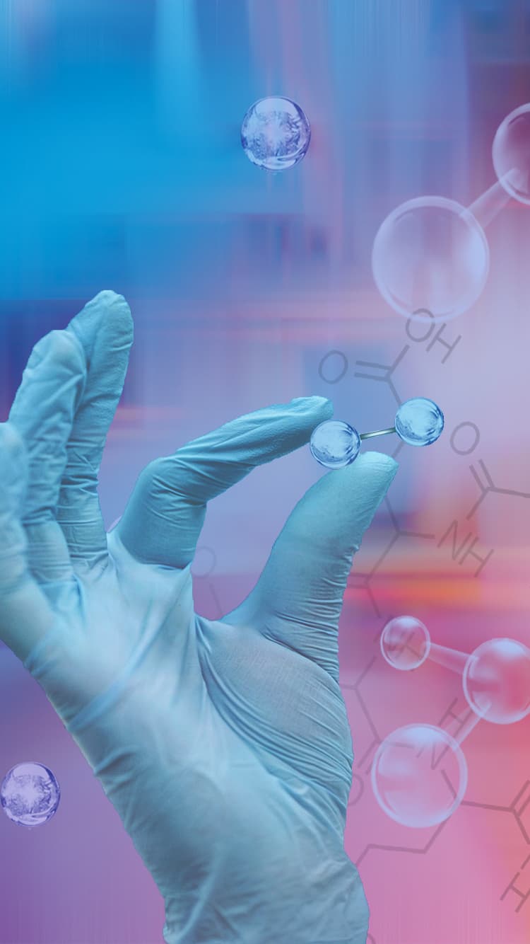 尊龙凯时 - 人生就是博!